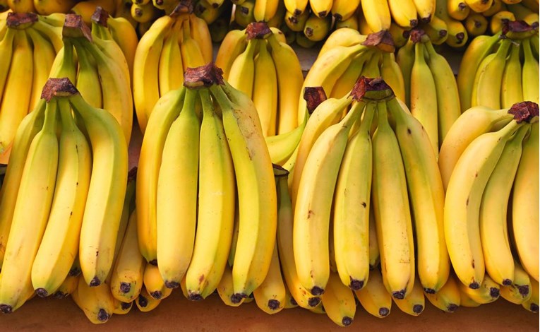 Trebamo li biti zabrinuti za banane? Napada ih opasna bolest